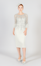 Load image into Gallery viewer, 3097 Beaded Silver Dress
